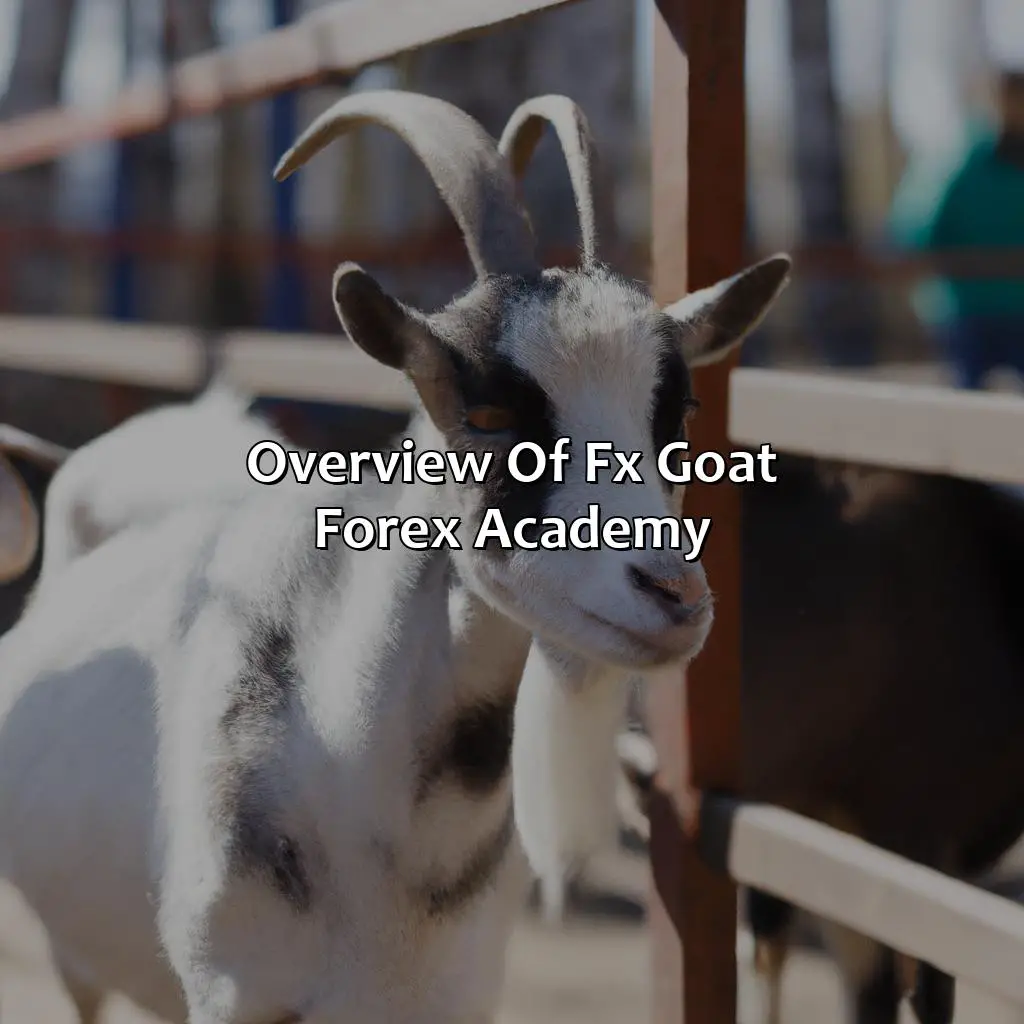 Overview Of Fx Goat Forex Academy - Fx Goat Forex Academy Review, 