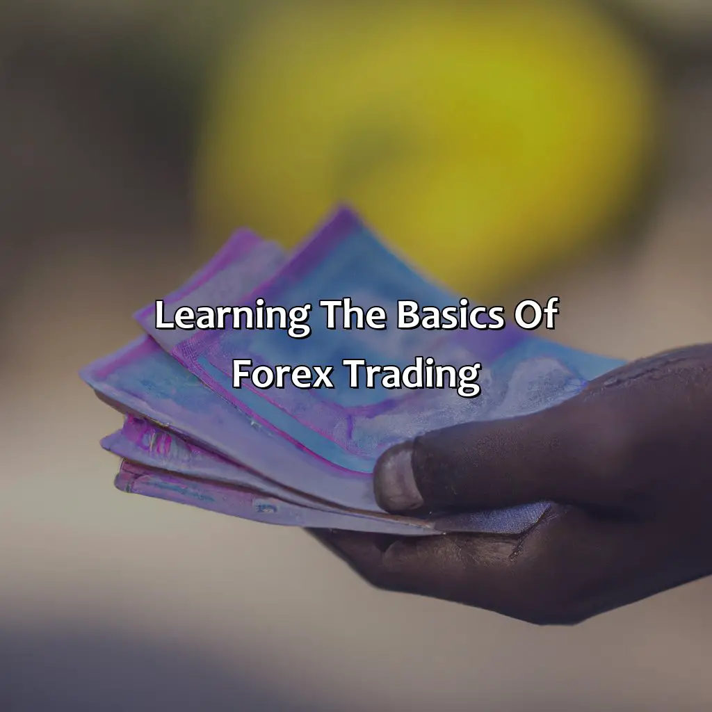 Learning The Basics Of Forex Trading - How Long Does It Take To Learn To Trade Forex Profitably?, 
