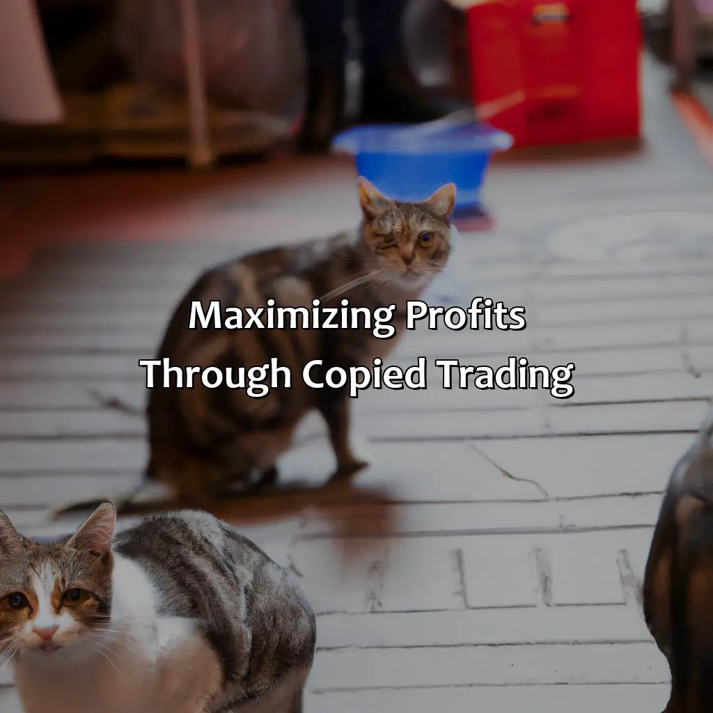 Maximizing Profits Through Copied Trading - How Do I Become A Copied Trader?, 