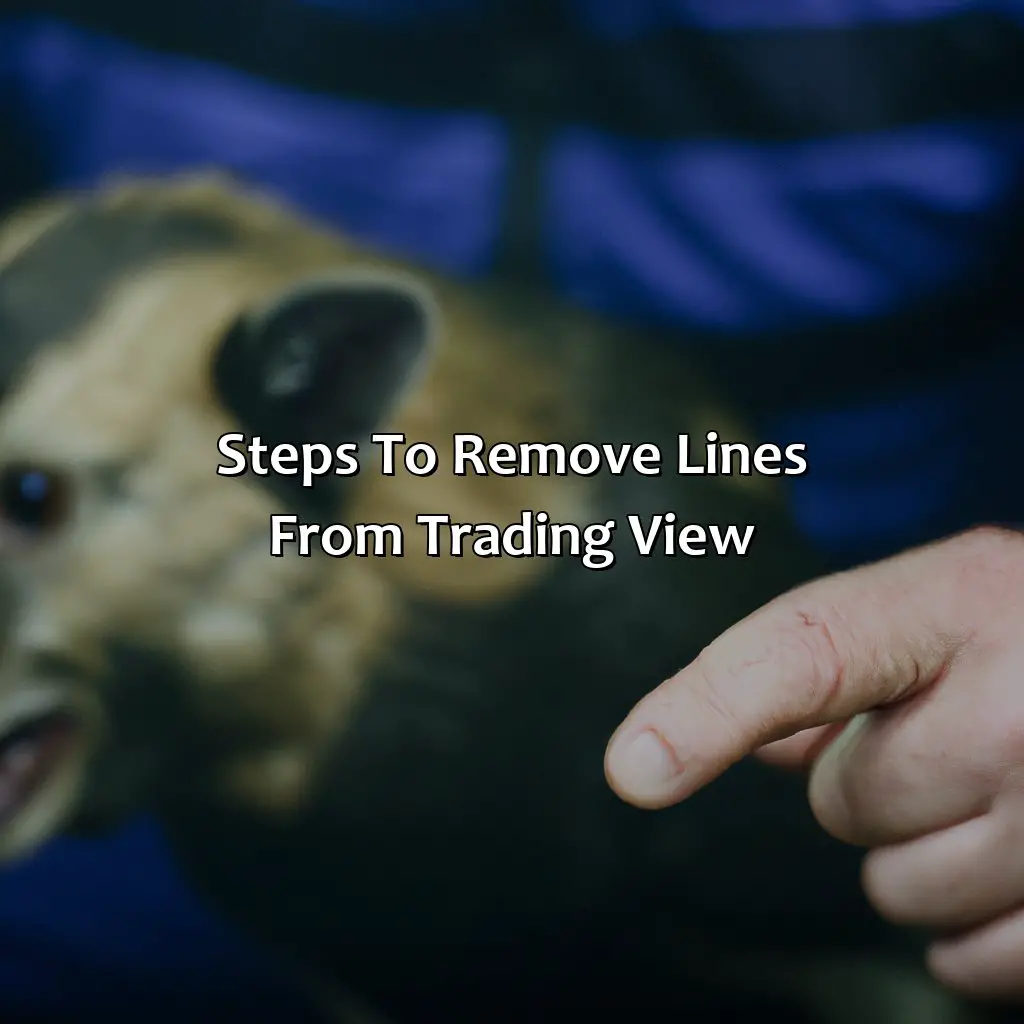 Steps To Remove Lines From Trading View - How Do I Remove Lines From Trading View?, 